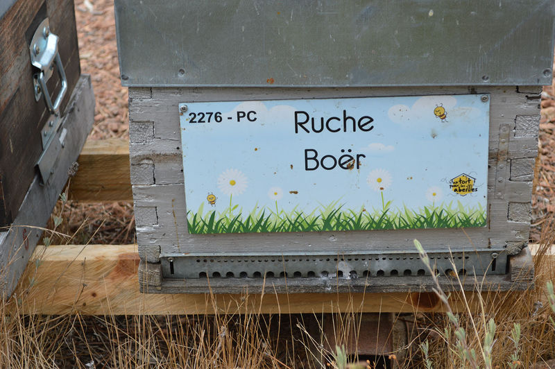 La ruche Boër