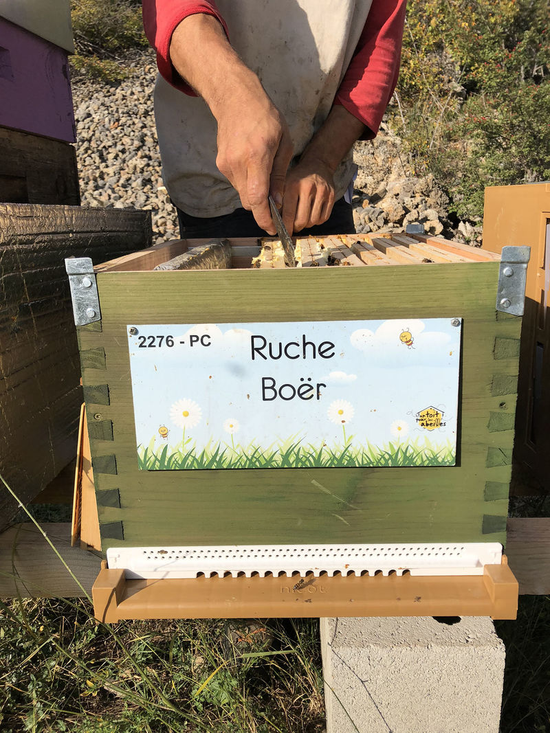 La ruche Boër