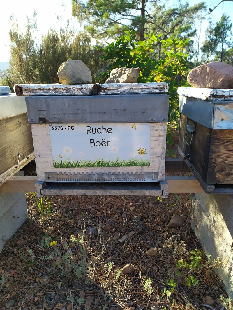 La ruche Boër