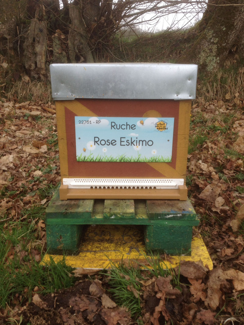 La ruche