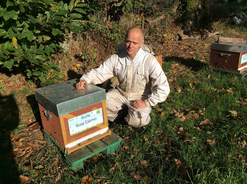 La ruche Rose Eskimo