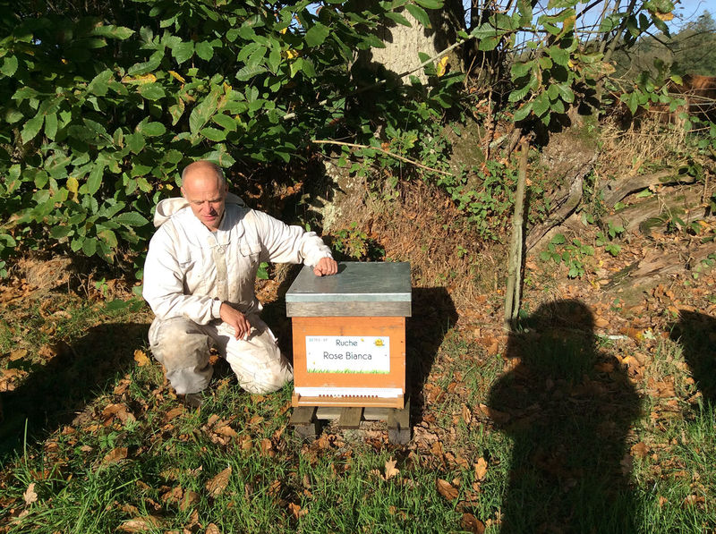 La ruche Rose Bianca