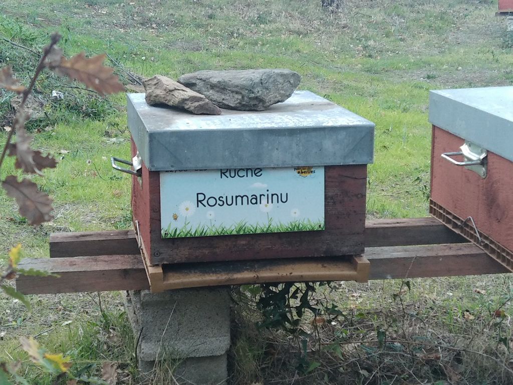 La ruche Rosumarinu