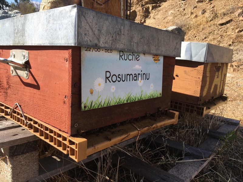 La ruche Rosumarinu
