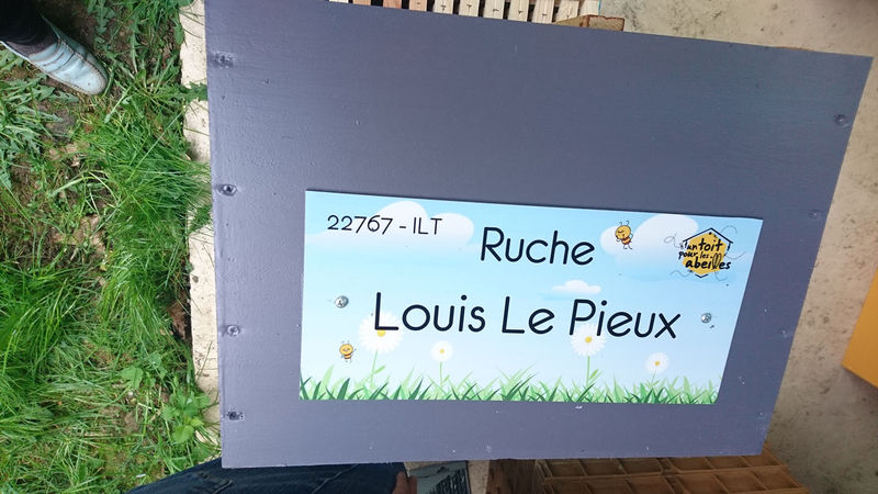 La ruche Louis Le Pieux