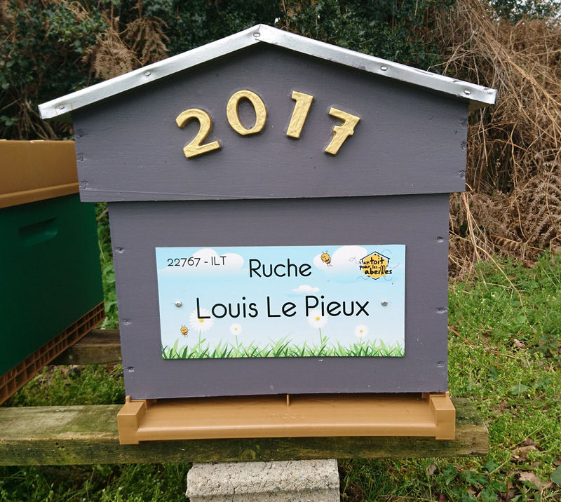 La ruche Louis Le Pieux