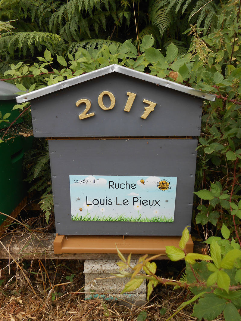 La ruche Louis Le Pieux