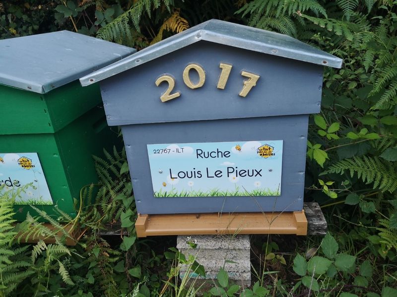 La ruche Louis Le Pieux