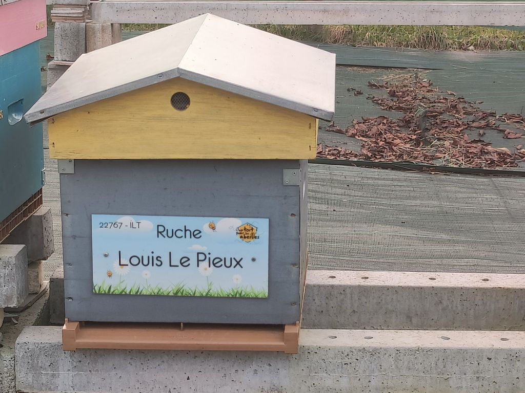 La ruche Louis Le Pieux