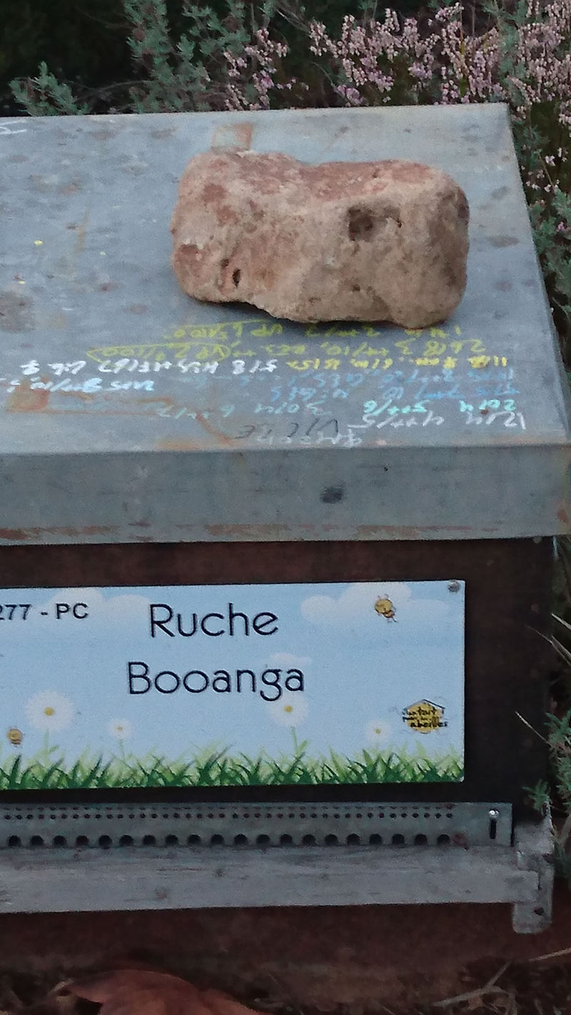 La ruche