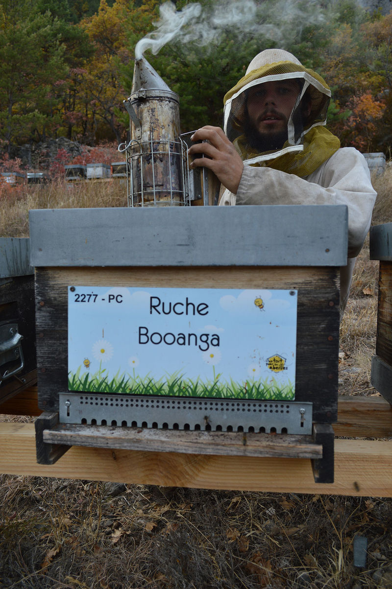 La ruche Booanga