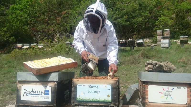 La ruche Booanga