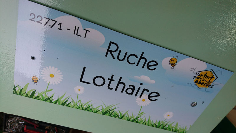 La ruche