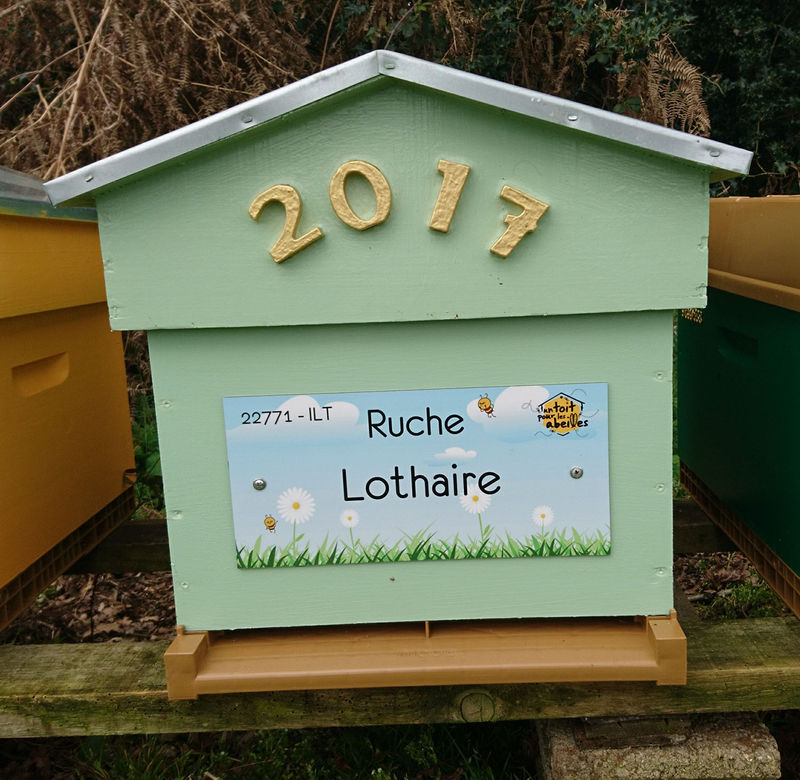 La ruche Lothaire