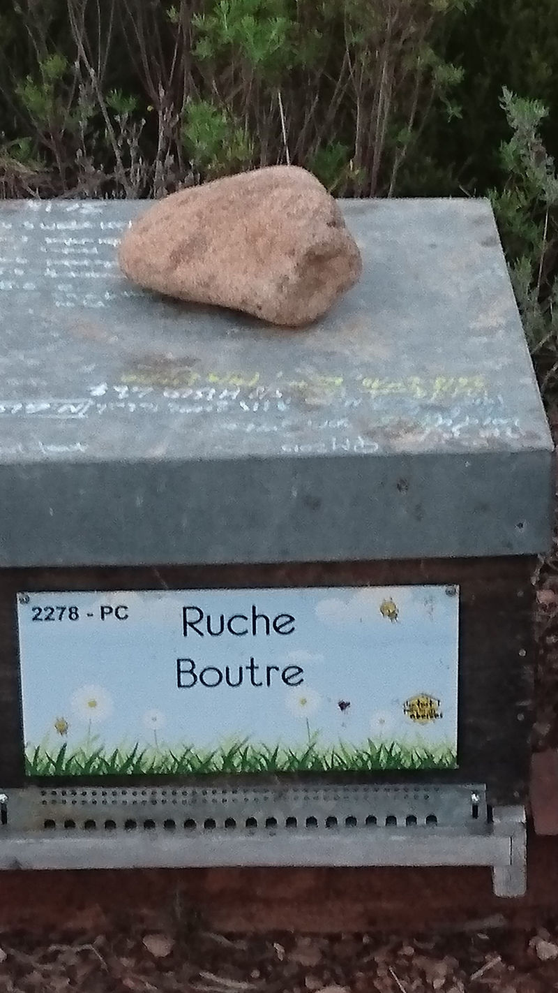 La ruche 