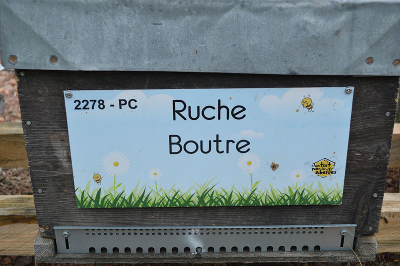 La ruche Boutre