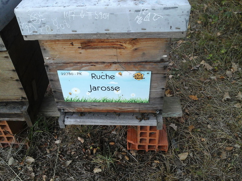 La ruche Jarosse