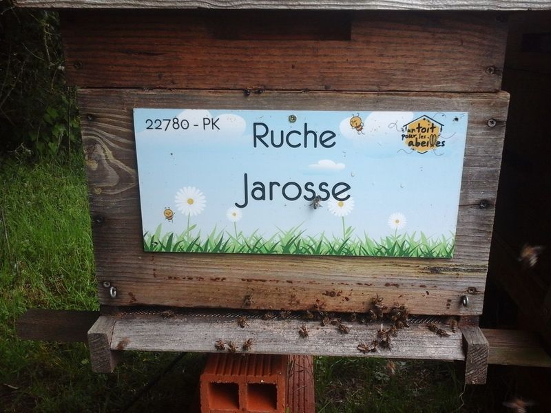 La ruche Jarosse