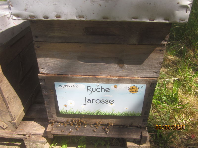 La ruche Jarosse