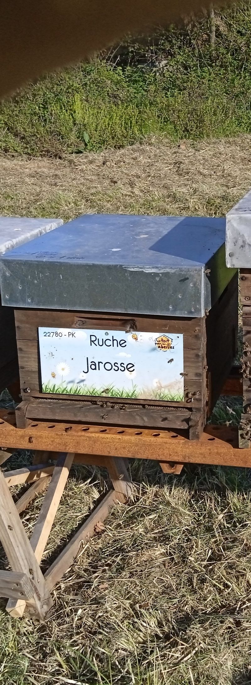 La ruche Jarosse