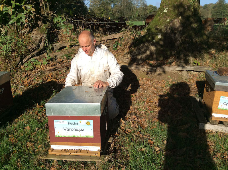 La ruche Véronique