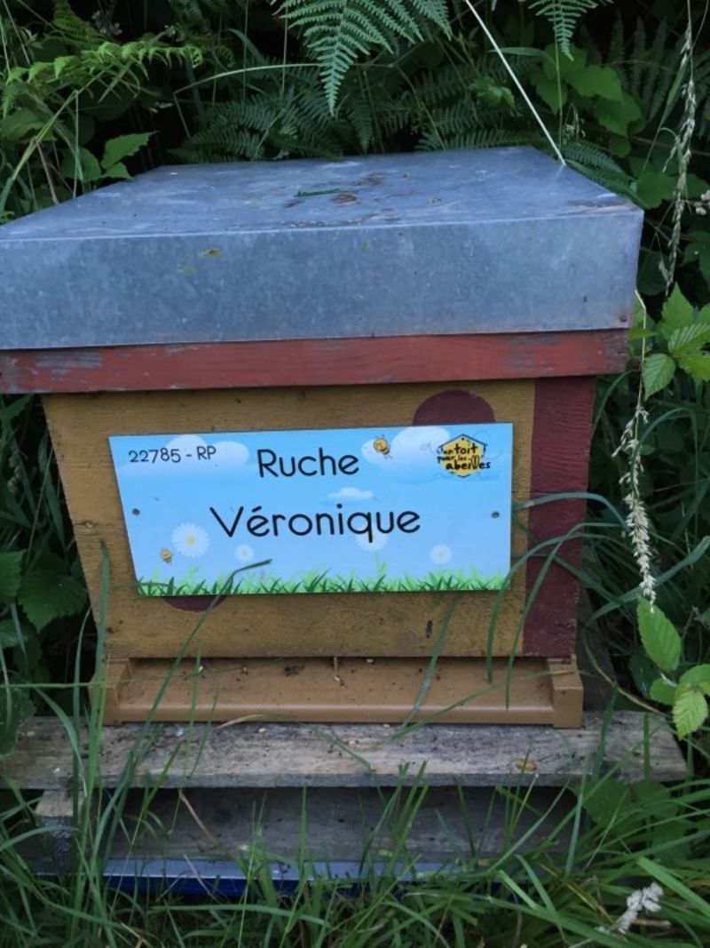 La ruche Véronique