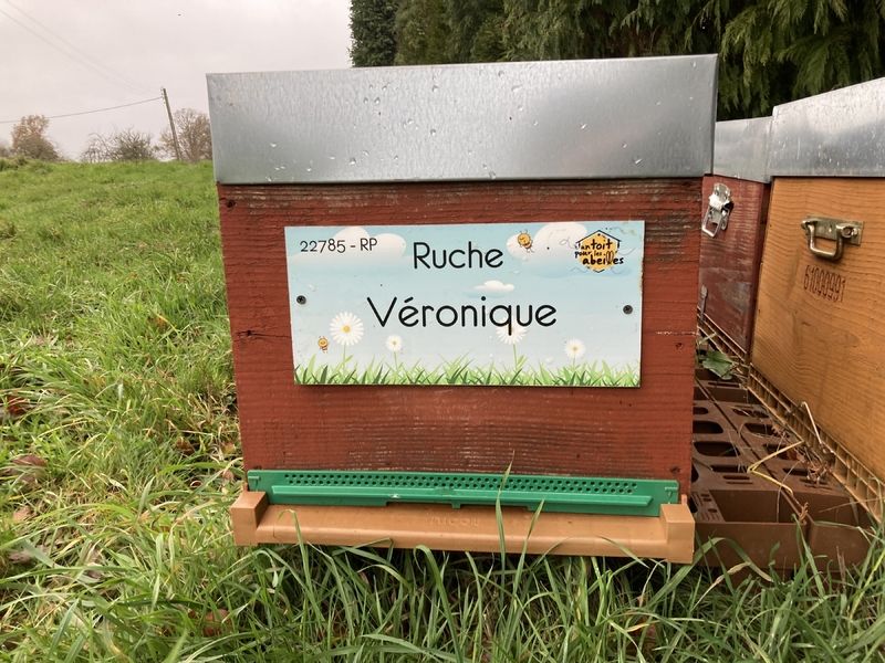 La ruche Véronique