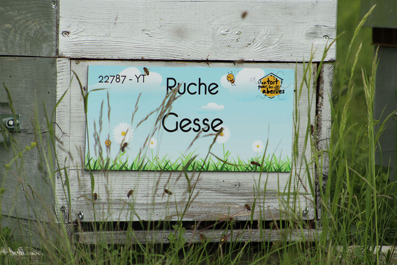 La ruche Gesse