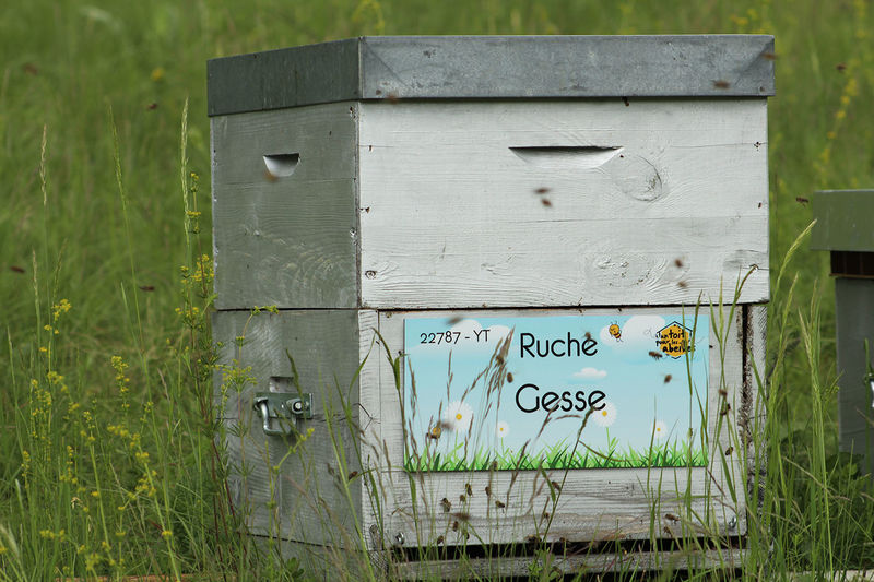 La ruche Gesse