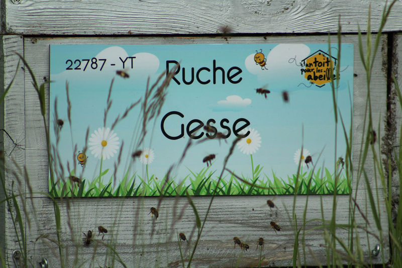 La ruche Gesse