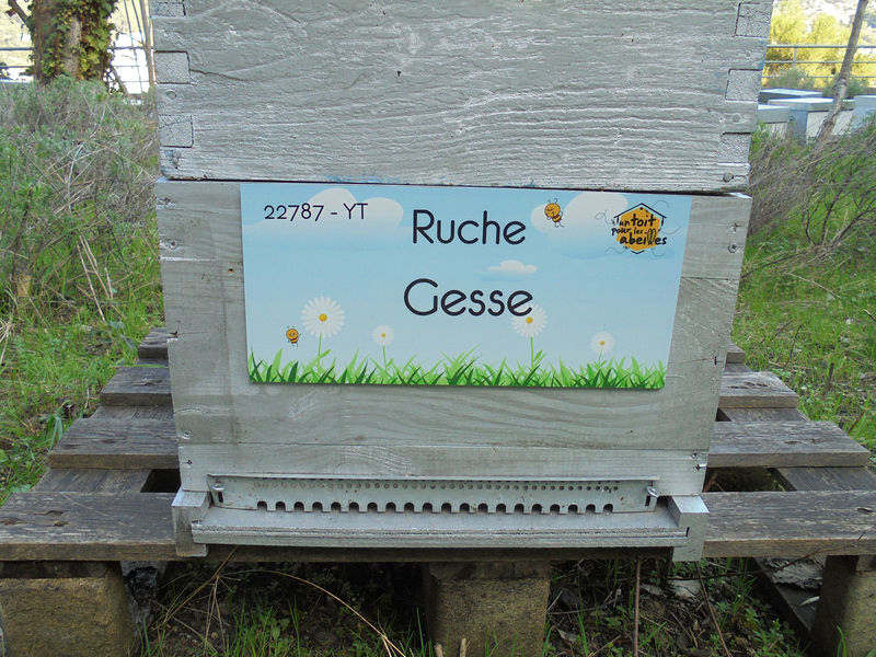 La ruche Gesse