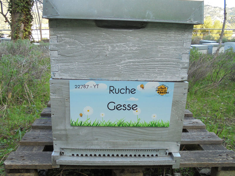 La ruche Gesse