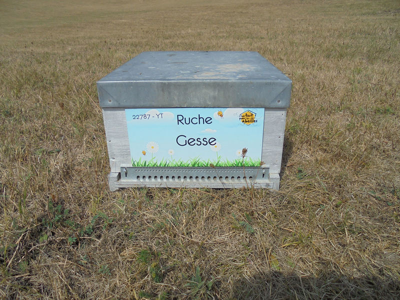 La ruche Gesse