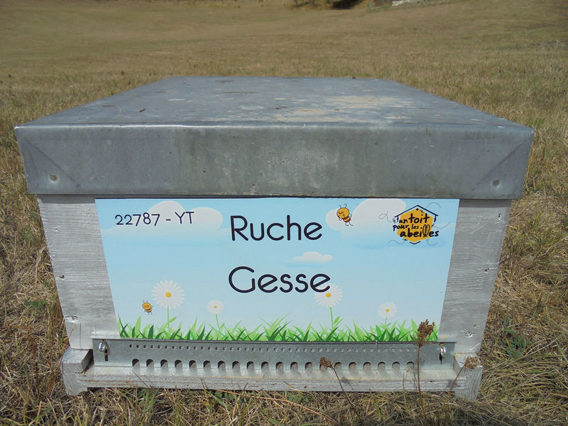 La ruche Gesse