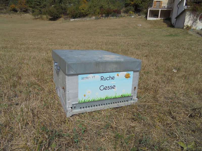 La ruche Gesse