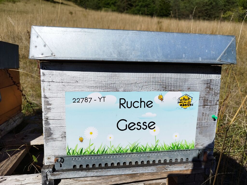 La ruche Gesse