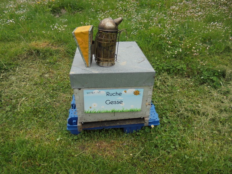 La ruche Gesse