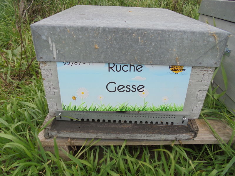 La ruche Gesse
