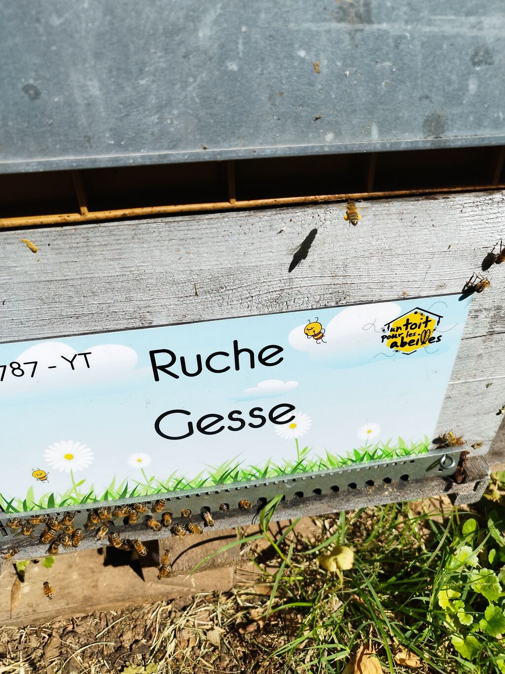 La ruche Gesse