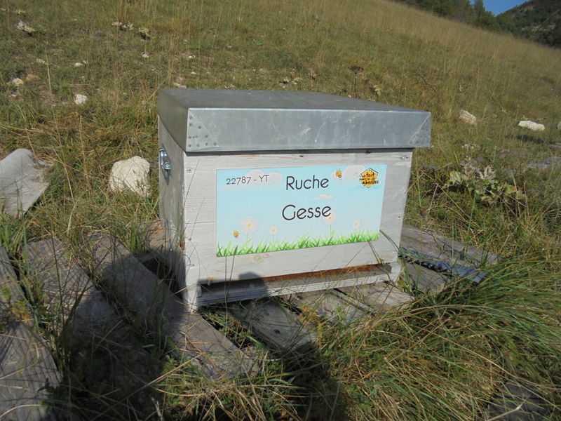 La ruche Gesse