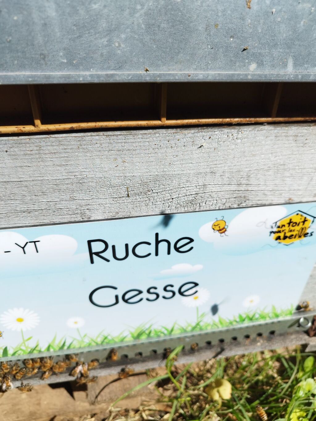 La ruche Gesse