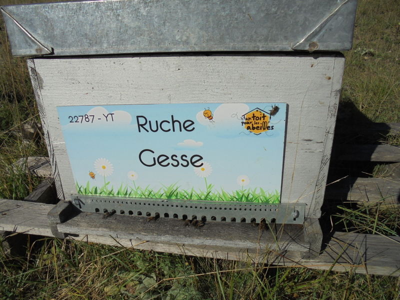La ruche Gesse