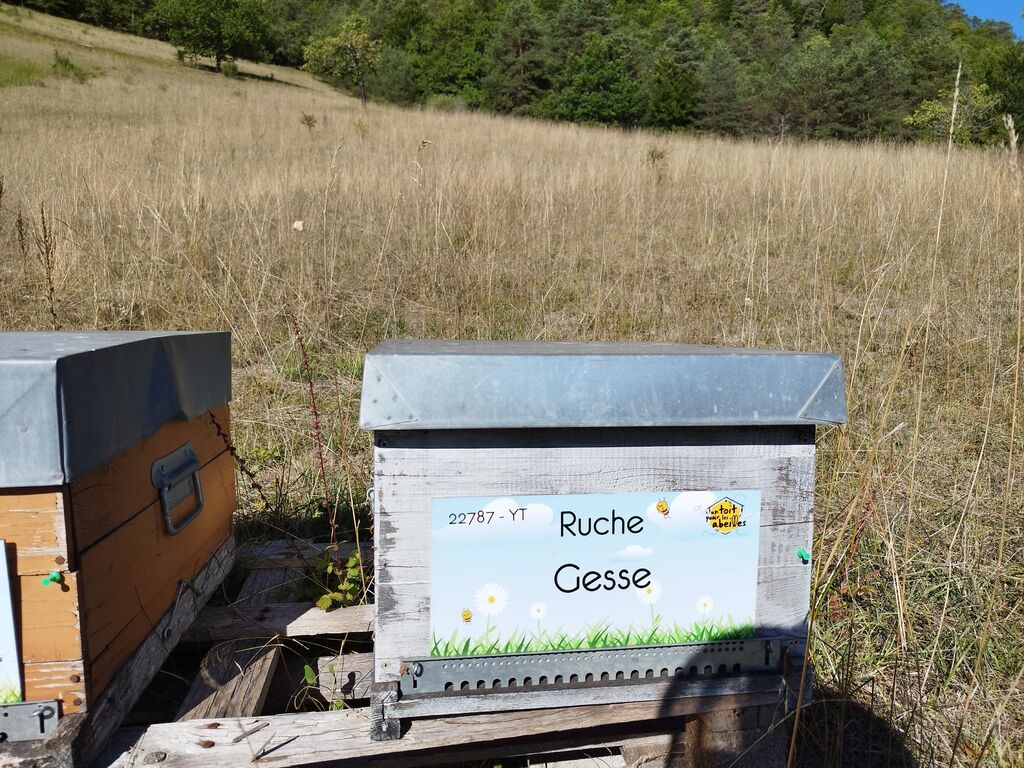 La ruche Gesse