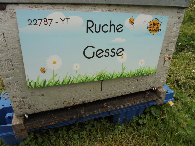 La ruche Gesse