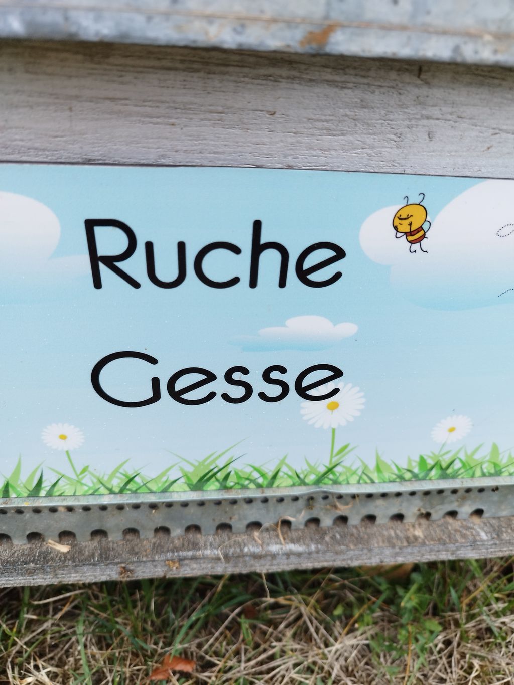 La ruche Gesse