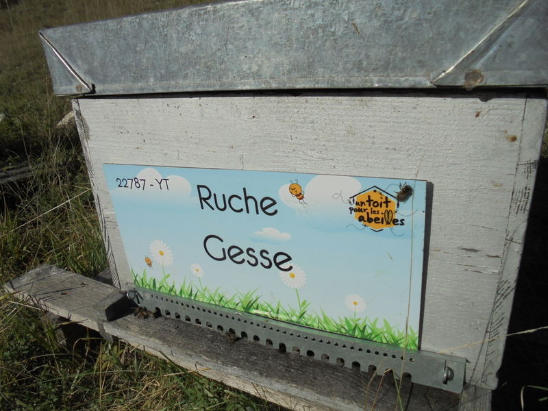 La ruche Gesse