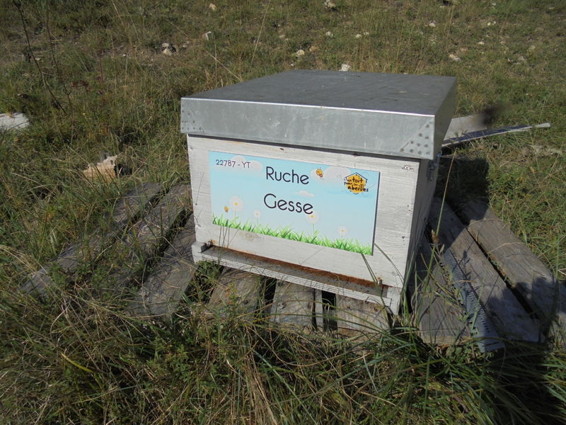 La ruche Gesse