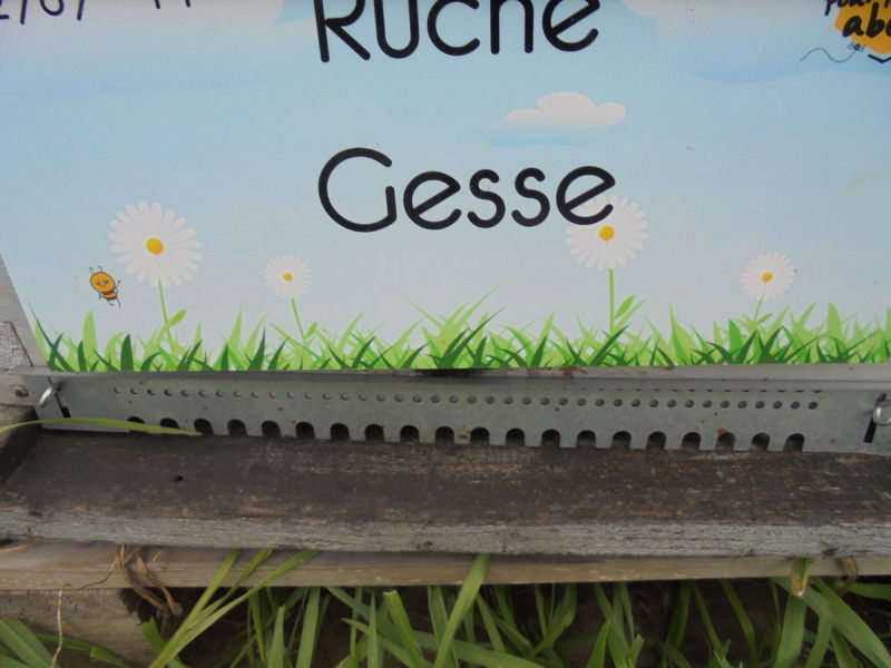 La ruche Gesse