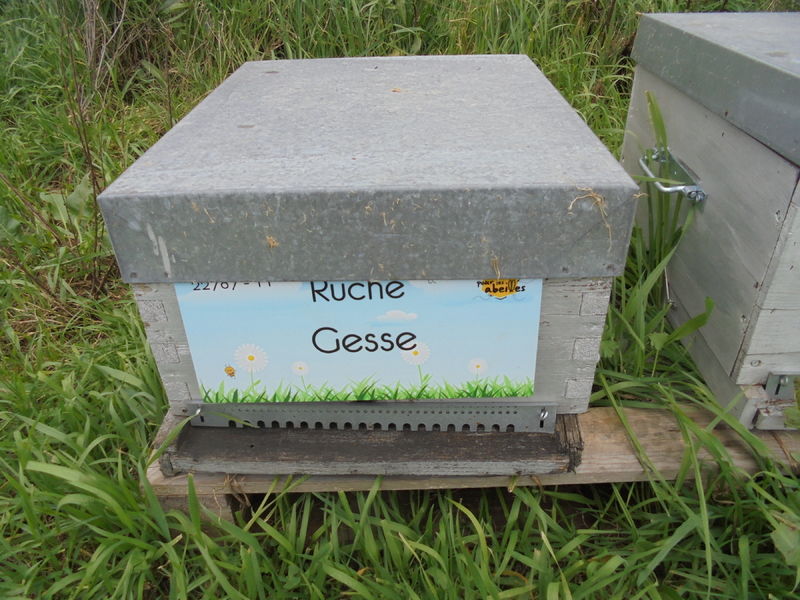La ruche Gesse