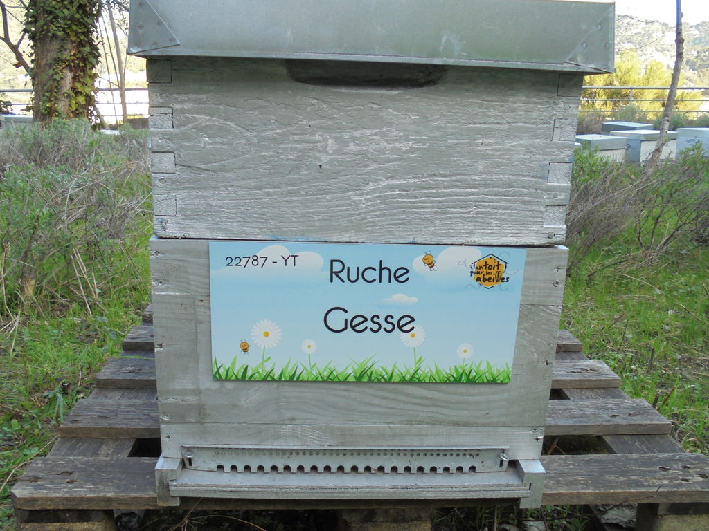 La ruche Gesse